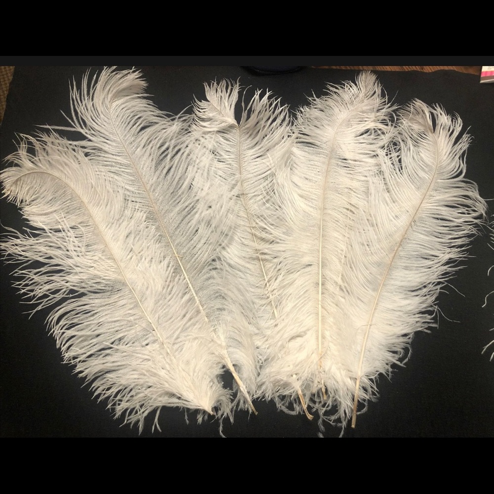 10 Ostrich Feathers - Approx 15-20 inches. Fluffy, light cream-colored